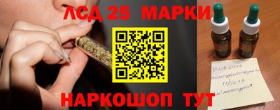 PSILOCYBIN Моздок
