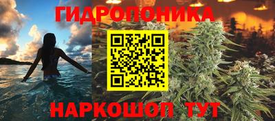 PSILOCYBIN Моздок