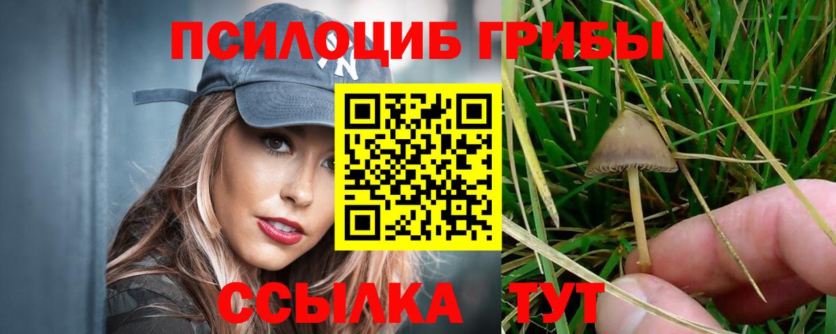 Псилоцибиновые грибы Psilocybe  Вход с VPN  Пугачёв  где купить наркоту  Галлюциногенные грибы Magic Shrooms 
